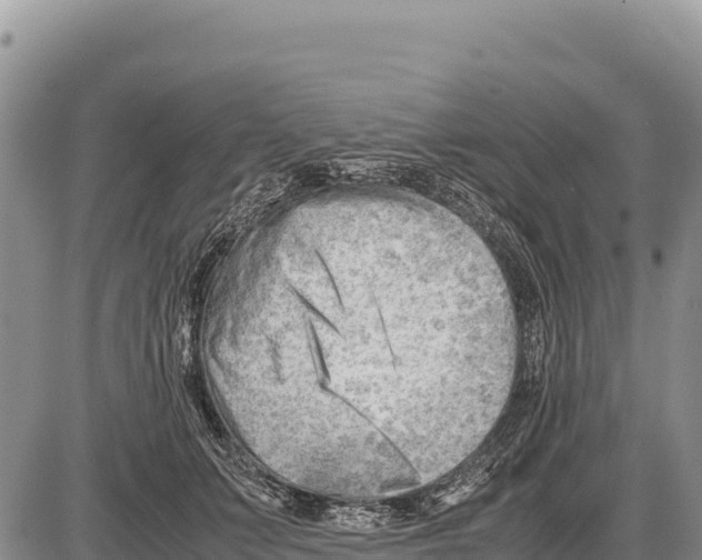 X0000086290703200704271802