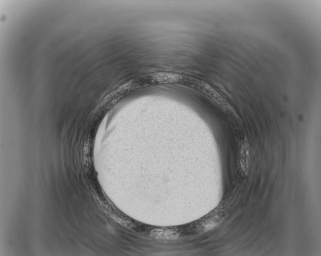 X0000086290714200704271802