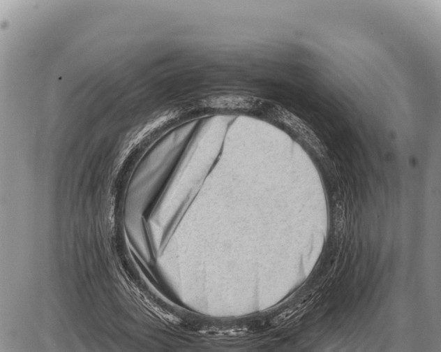 X0000086290727200704271801