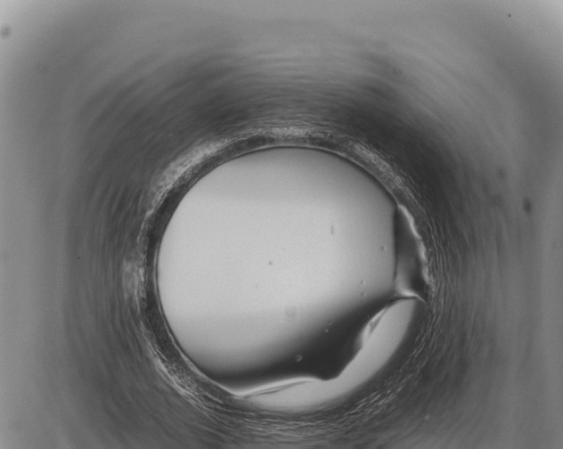 X0000086290728200704271801