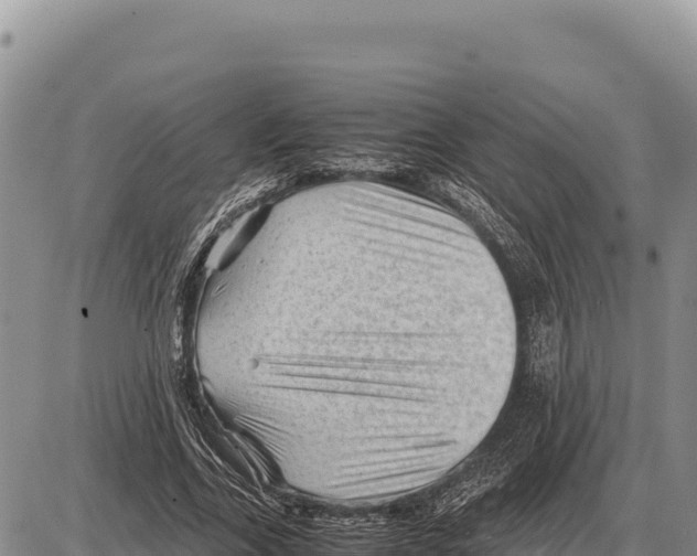 X0000086290731200704271801