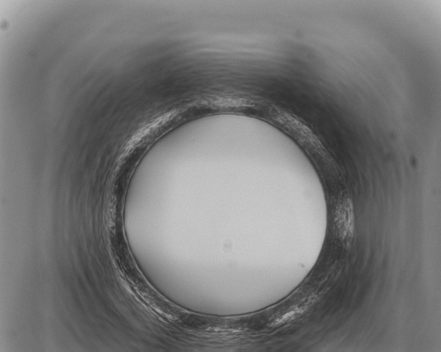 X0000086290732200704271801