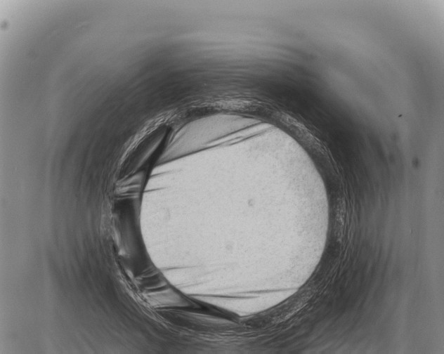 X0000086290734200704271801