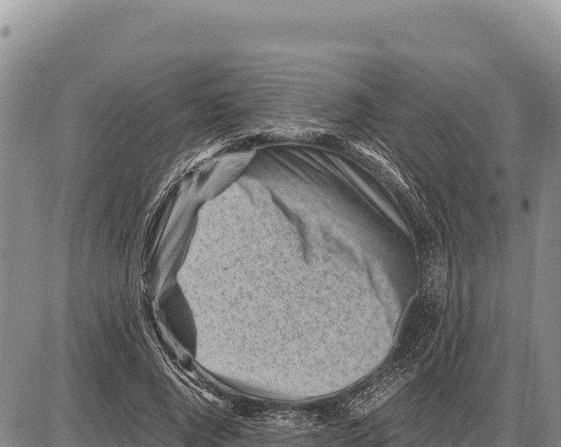 X0000086290736200704271801