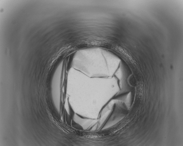X0000086290738200704271801