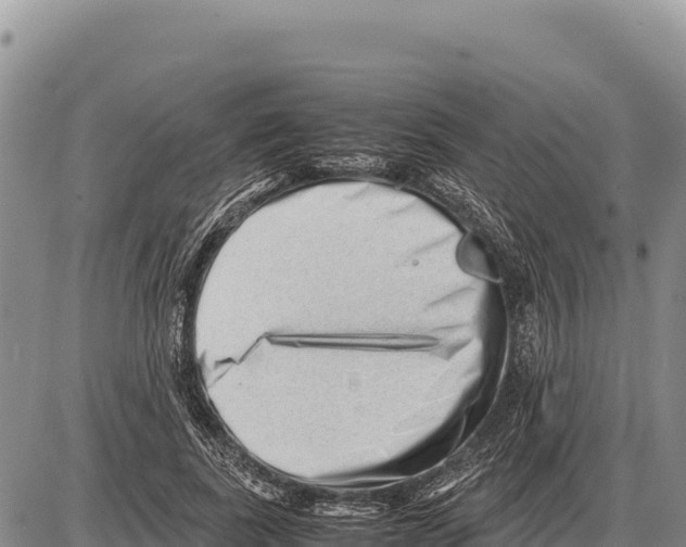 X0000086290739200704271801