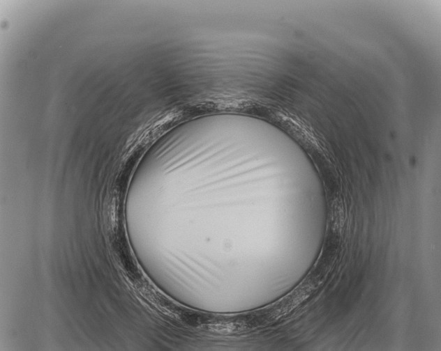 X0000086290740200704271801