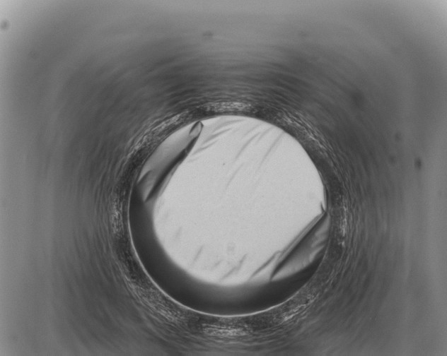 X0000086290743200704271801