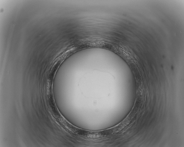 X0000086290744200704271801