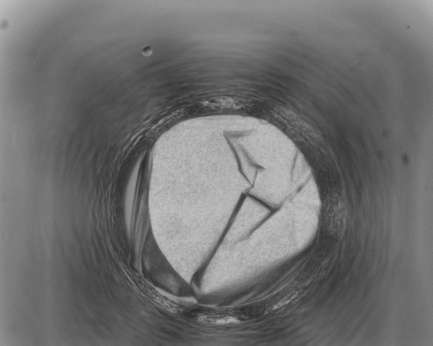 X0000086290747200704271802
