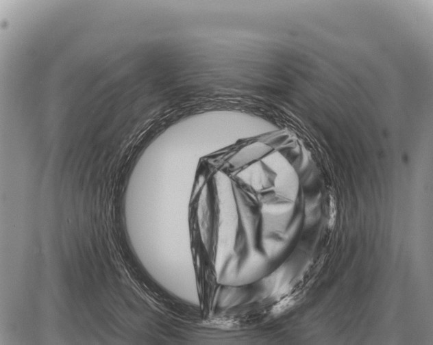 X0000086290750200704271802