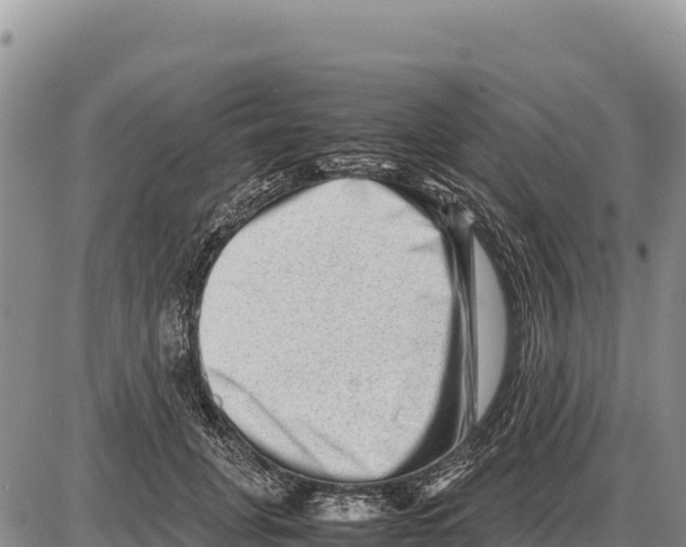 X0000086290751200704271802