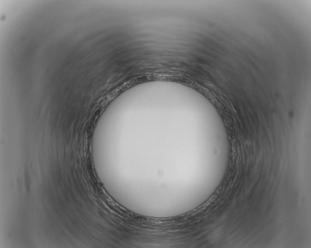 X0000086290760200704271802