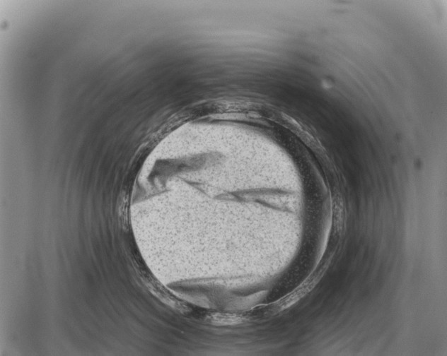 X0000086290766200704271802