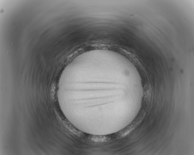 X0000086290767200704271802