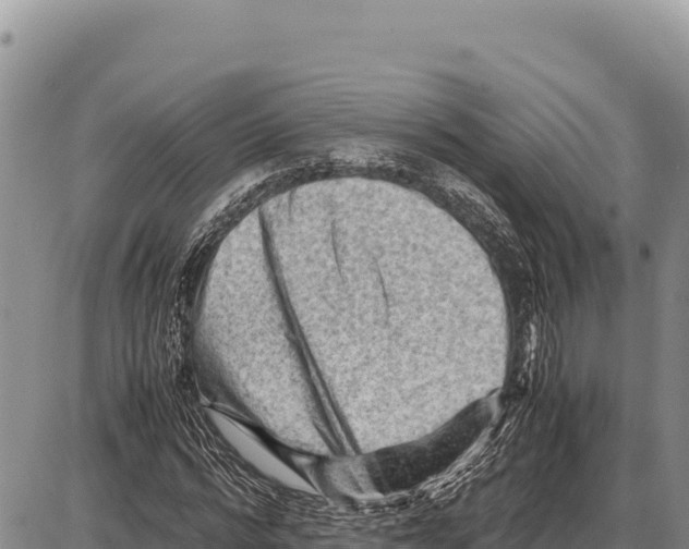 X0000086290776200704271801