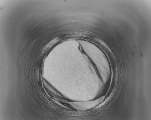 X0000086290777200704271801