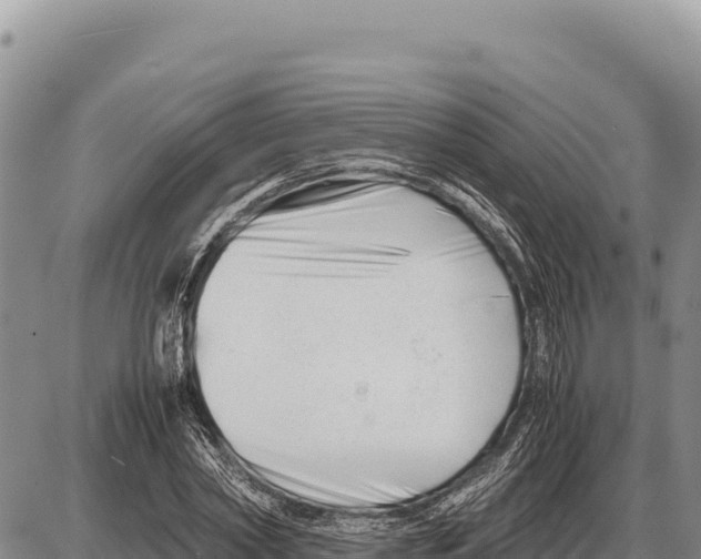 X0000086290782200704271801
