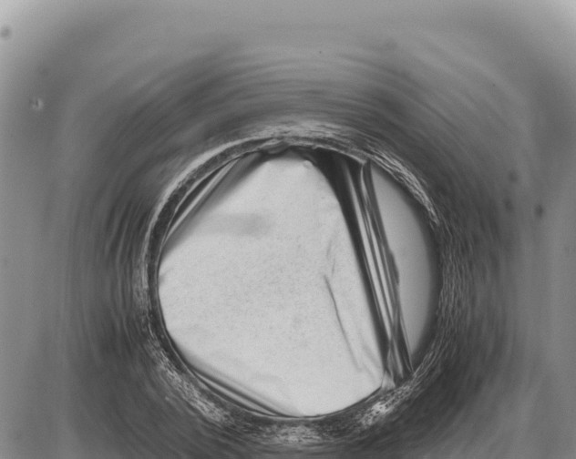 X0000086290784200704271801