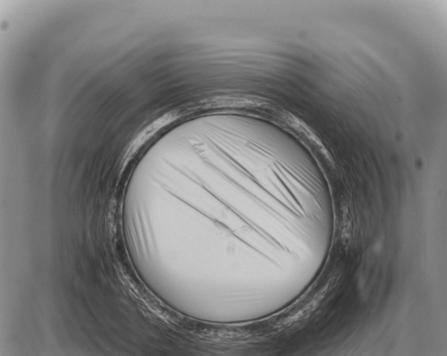 X0000086290786200704271801