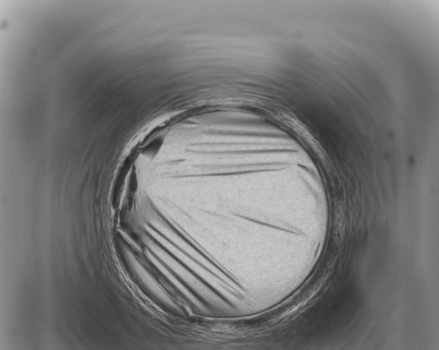 X0000086290787200704271801