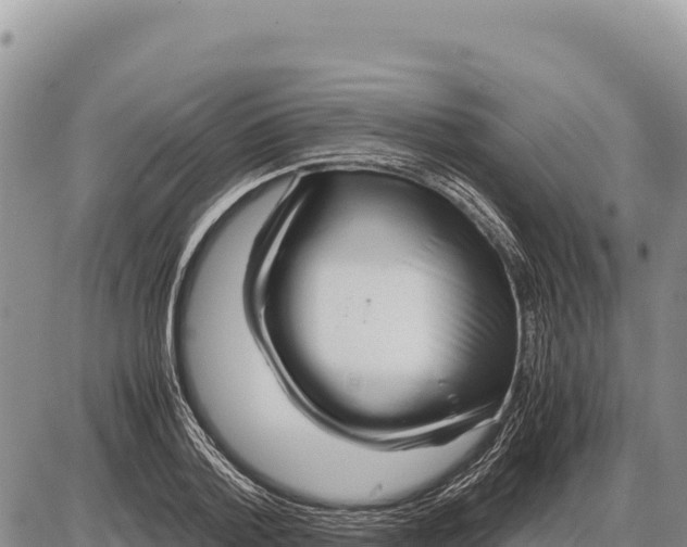 X0000086290788200704271801