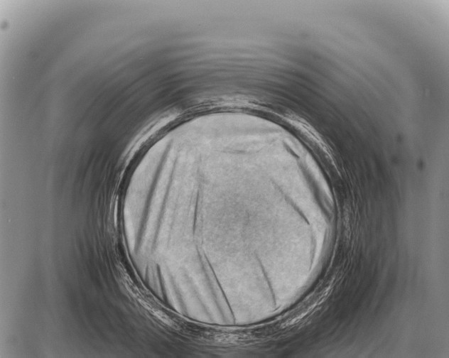 X0000086290790200704271801