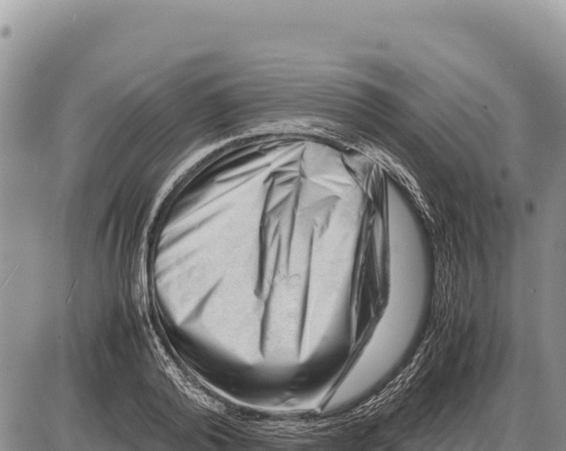 X0000086290792200704271801