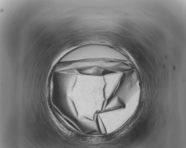 X0000086290795200704271801