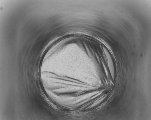 X0000086290799200704271801