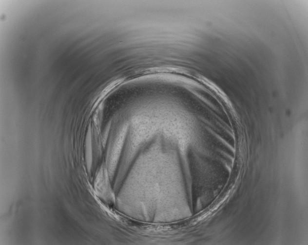 X0000086290809200704271800