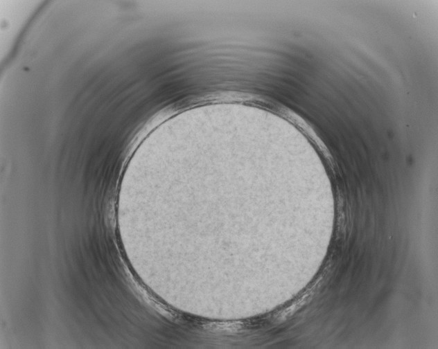 X0000086290810200704271800