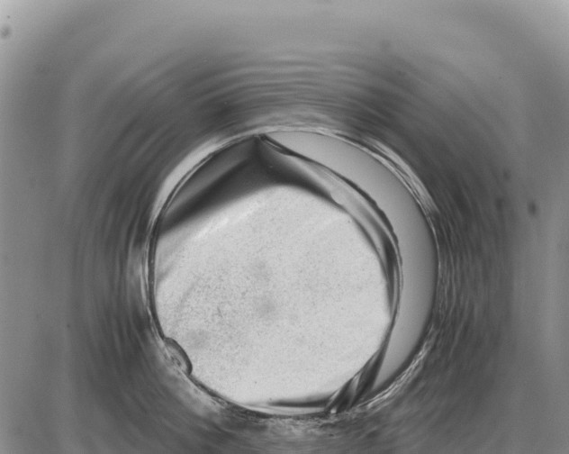 X0000086290812200704271800