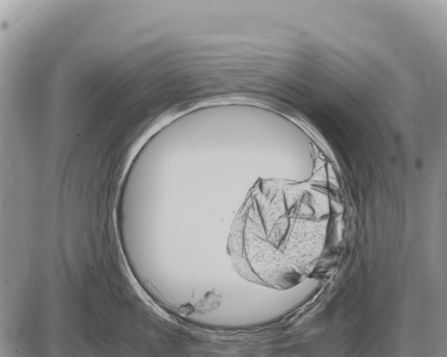 X0000086290813200704271800