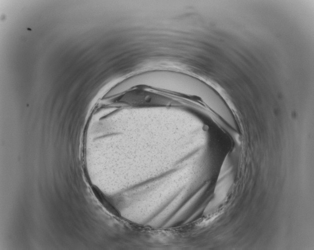 X0000086290815200704271800