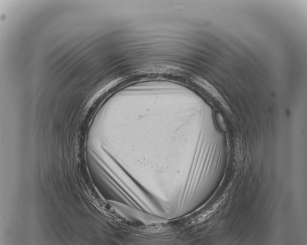X0000086290826200704271800