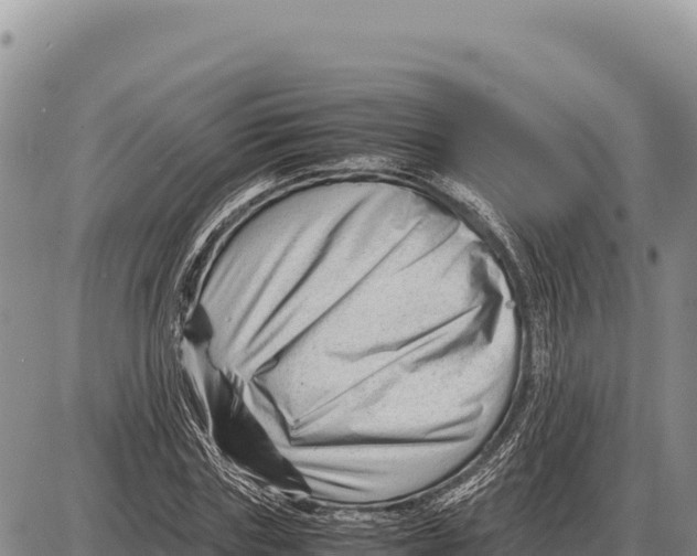 X0000086290827200704271800