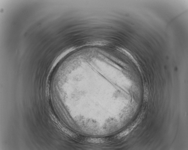 X0000086290835200704271800