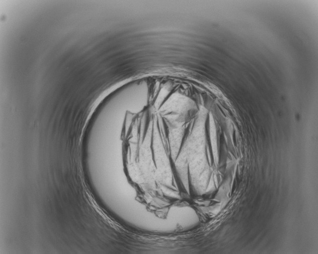 X0000086290838200704271800