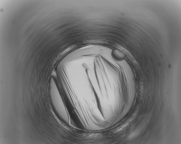 X0000086290841200704271800