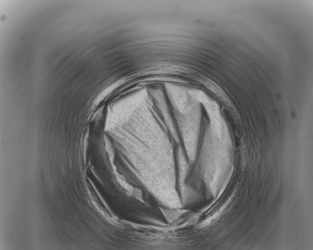 X0000086290842200704271800