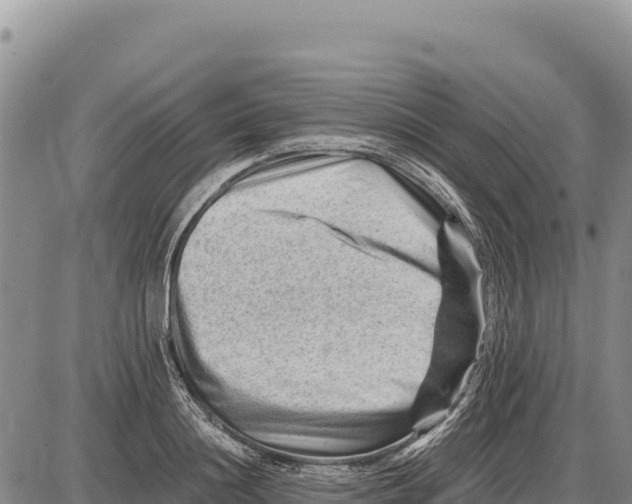 X0000086290844200704271800