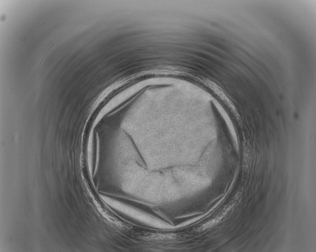 X0000086290845200704271800