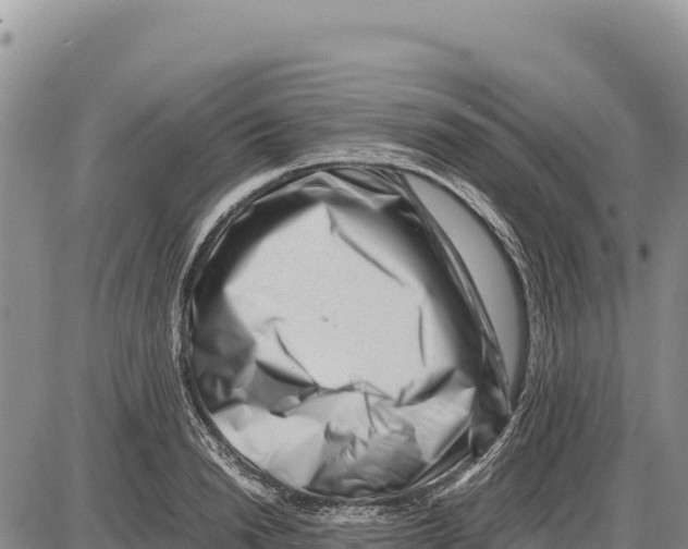 X0000086290846200704271800
