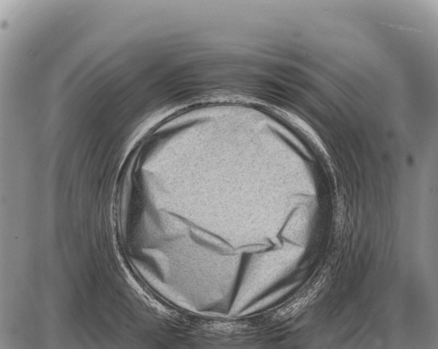 X0000086290847200704271800