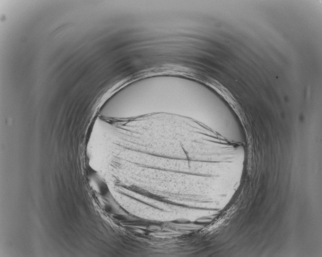 X0000086290850200704271800