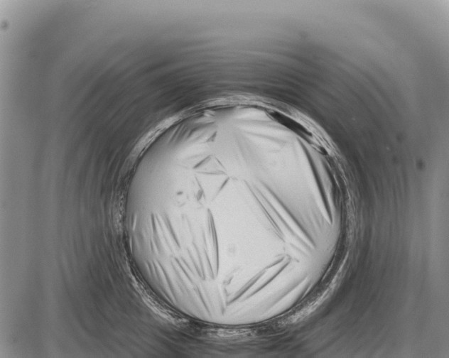 X0000086290857200704271800