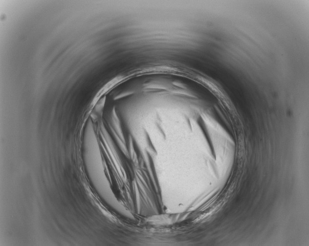 X0000086290858200704271800