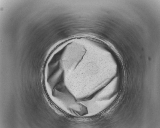 X0000086290862200704271800