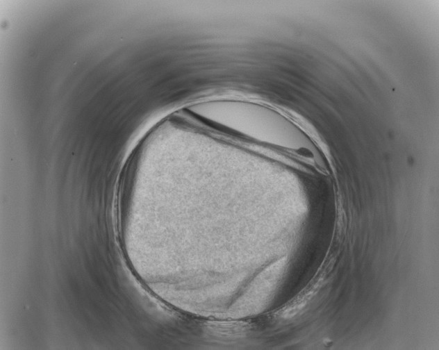 X0000086290863200704271800